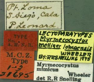 Myrmecocystus mimicus, Wheeler, 1908, label, type