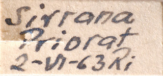 Orthotylus siuranus, AMNH PBI00183864