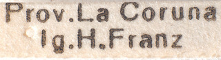 Laemocoris remanei, AMNH PBI00183926