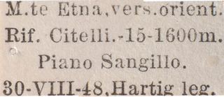 Psallus aetnicola, AMNH PBI00184068