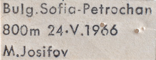 Psallus balcanicus, AMNH PBI00184071