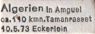 Tuponia concinna, AMNH PBI00184191