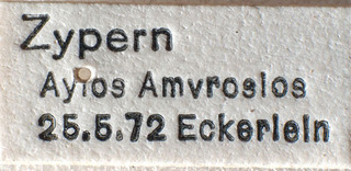 Tuponia macedonica, AMNH PBI00184185