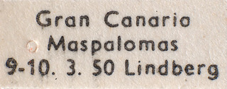 Tuponia oculata, AMNH PBI00184200