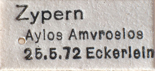 Tuponia simplex, AMNH PBI00184203