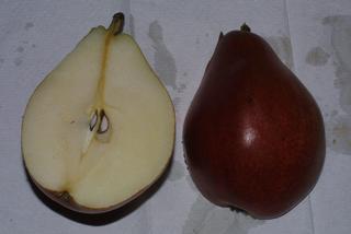 Pyrus communis, fruit - section or open