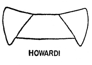 Epeolus howardi, both, top of thorax