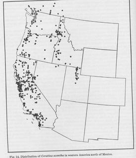 Ceratina acantha, distributionmap