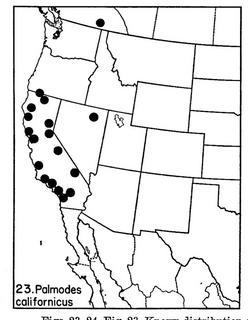 Palmodes californicus, map