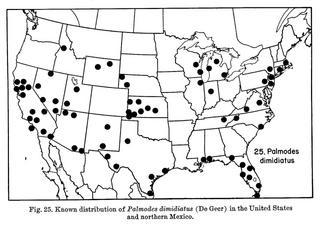 Palmodes dimidiatus, map