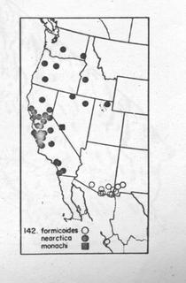 Ammophila formicoides, and others, map
