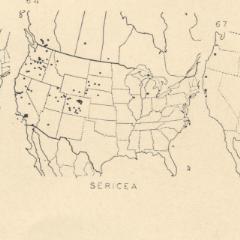 Podalonia sericea, map