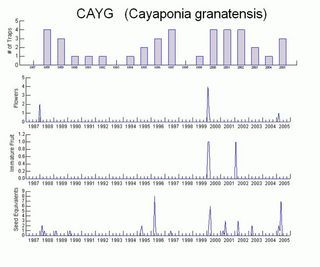 Cayaponia granatensis timeseries