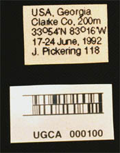 Conventional and Barcode Labels