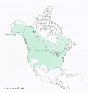 Lontra canadensis_map.320.jpg