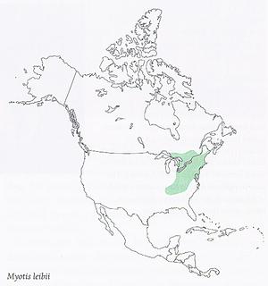 Myotis leibii_map.Smithsonian.320.jpg