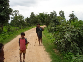 Butea monosperma population along with road