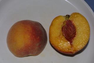Prunus persica, fruit - lateral or general close-up