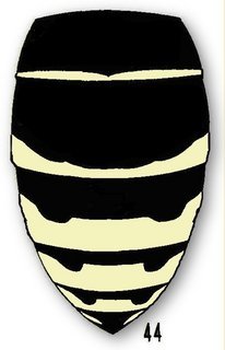 Vespula consobrina, queen abdomen
