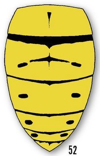 Vespula squamosa, queen abdomen