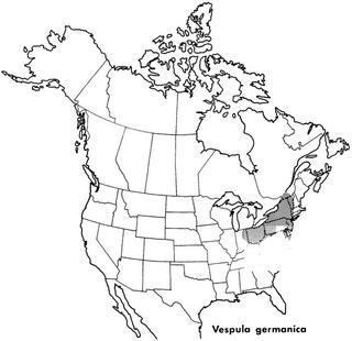 Vespula germanica, distribution