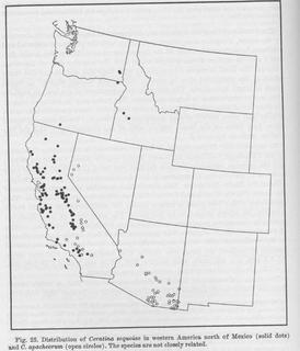 Ceratina sequoiae, distributionmap