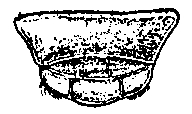Oniscus asellus, anterior, lip