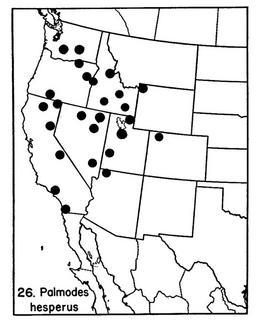 Palmodes hesperus, map