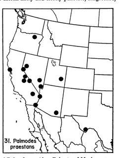 Palmodes praestans, map