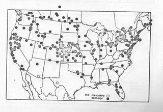 Ammophila kennedyi, and others, map