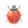 Click for Lost Ladybug Project