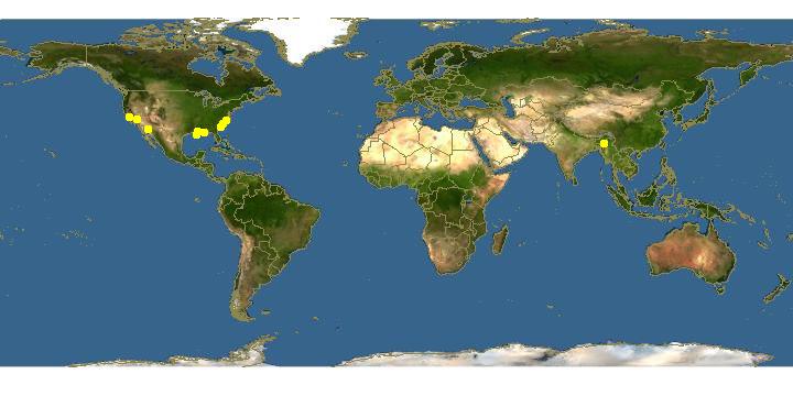 https://www.discoverlife.org/nh/maps/Insecta/Hemiptera/Sternorrhyncha/Diaspididae/Fiorinia/map_of_Fiorinia_theae.jpg