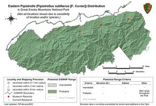 Pipistrellus subflavus_map.GSMNP.320.jpg