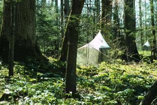 Photograph of Malaise Traps 153 and 154 in GSMNP.